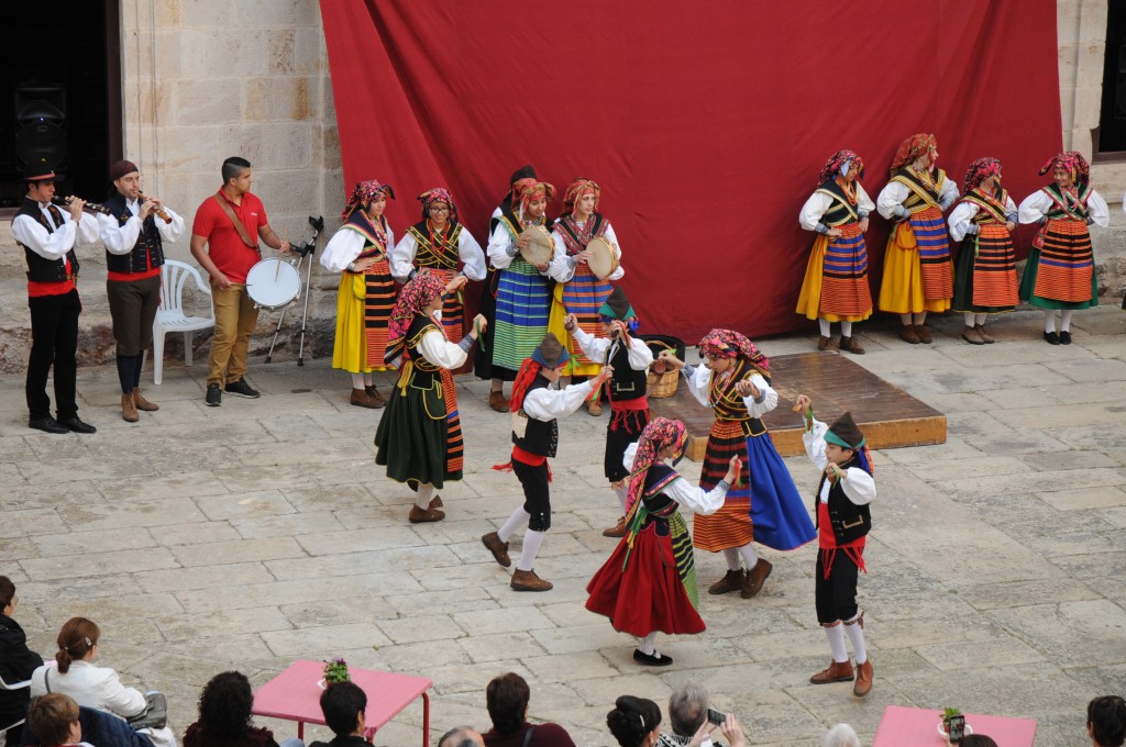 CDZ_8483