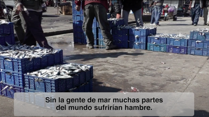 captura-de-pantalla-2020-08-13-a-las-8-35-06