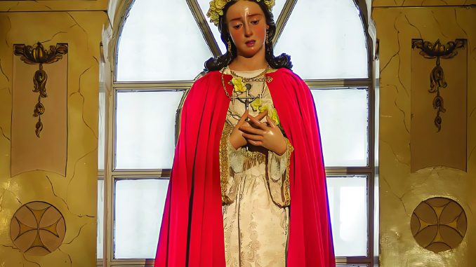 portada_zamora_revista_lasalette